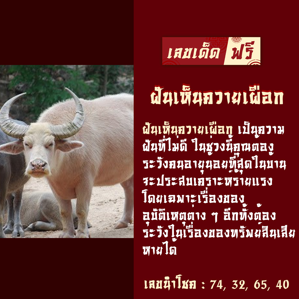 ฝันเห็นควายเผือก