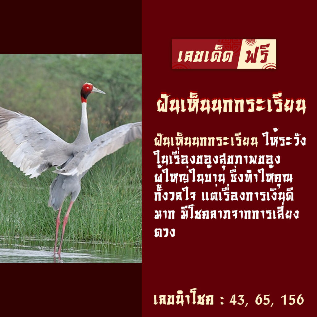 ฝันเห็นนกกระเรียน