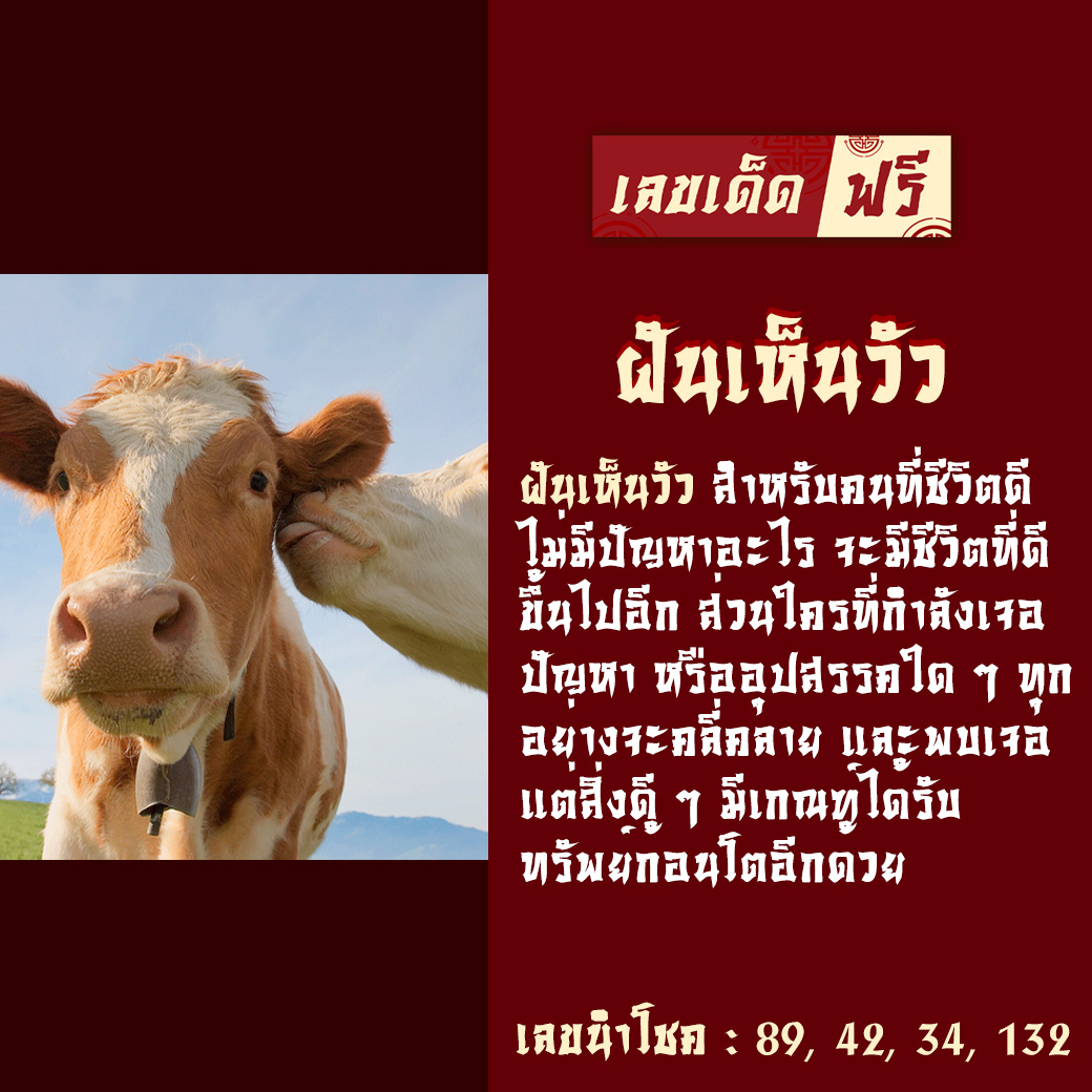 ฝันเห็นวัว