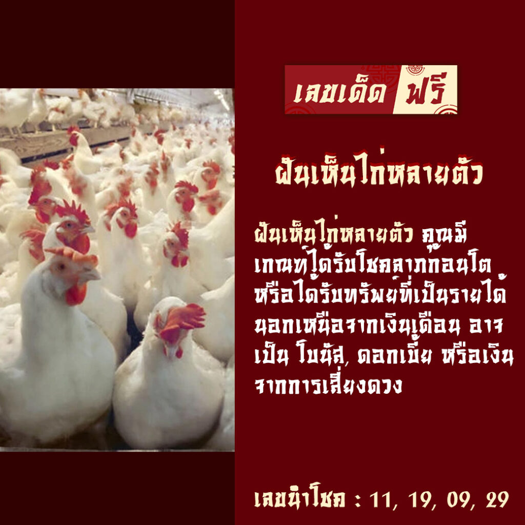 ฝันเห็นไก่หลายตัว