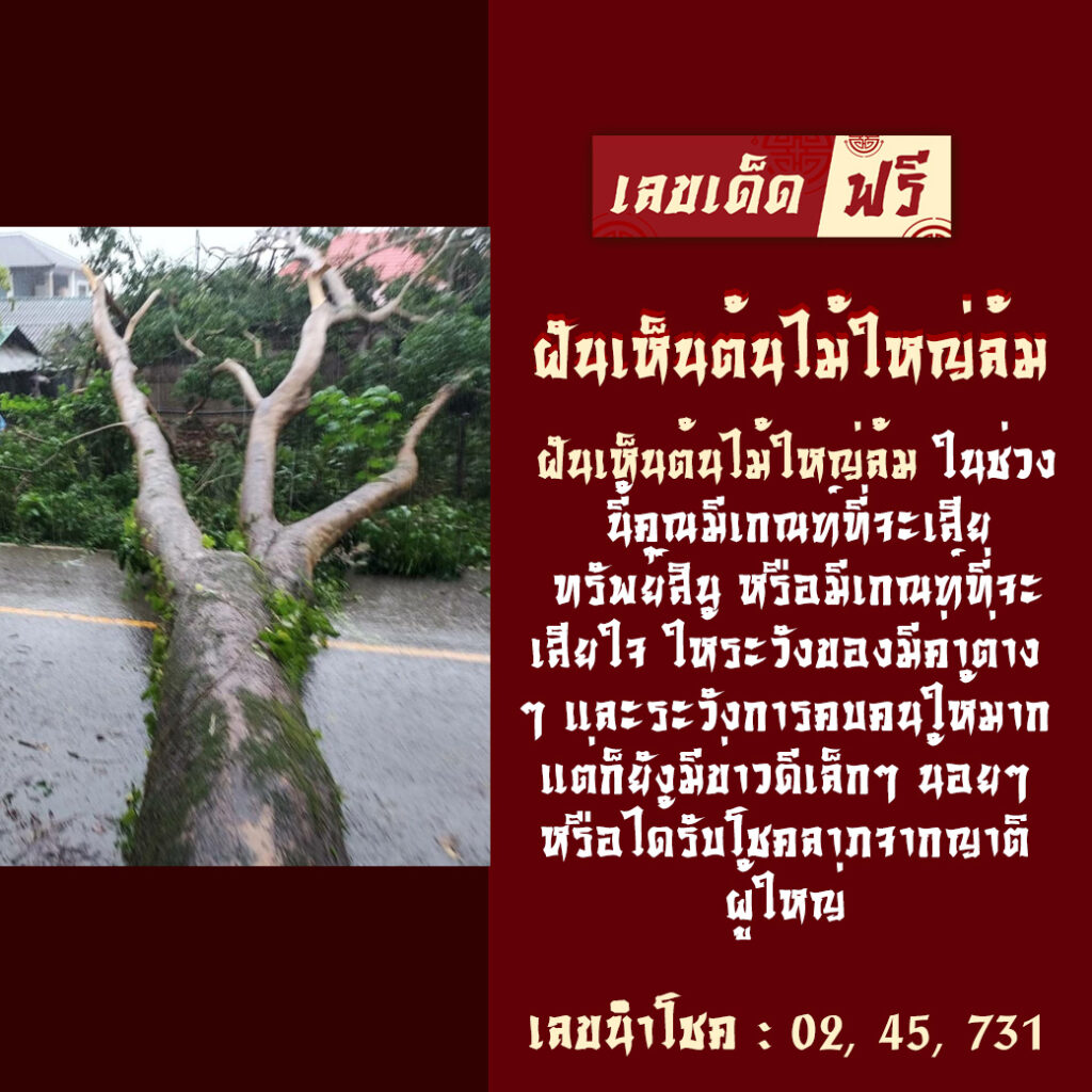 ฝันเห็นต้นไม้ใหญ่ล้ม