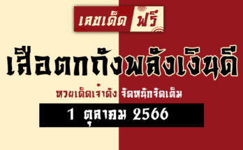 เสือตกถังพลังเงินดี 1 10 66