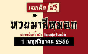 หวยม้าสีหมอก 1 11 66