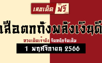 เสือตกถังพลังเงินดี 1 11 66