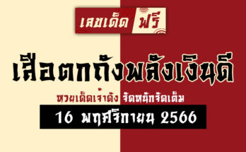 เสือตกถังพลังเงินดี 16 11 66