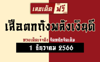 เสือตกถังพลังเงินดี 1 12 66