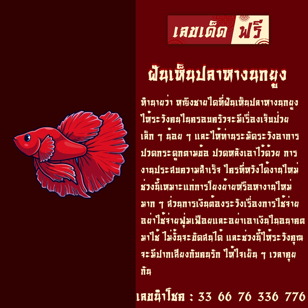 ฝันเห็นปลาหางนกยูง