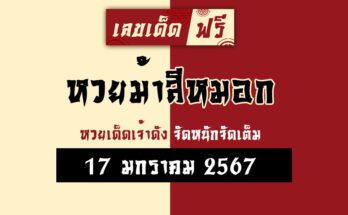 หวยม้าสีหมอก 17 1 67