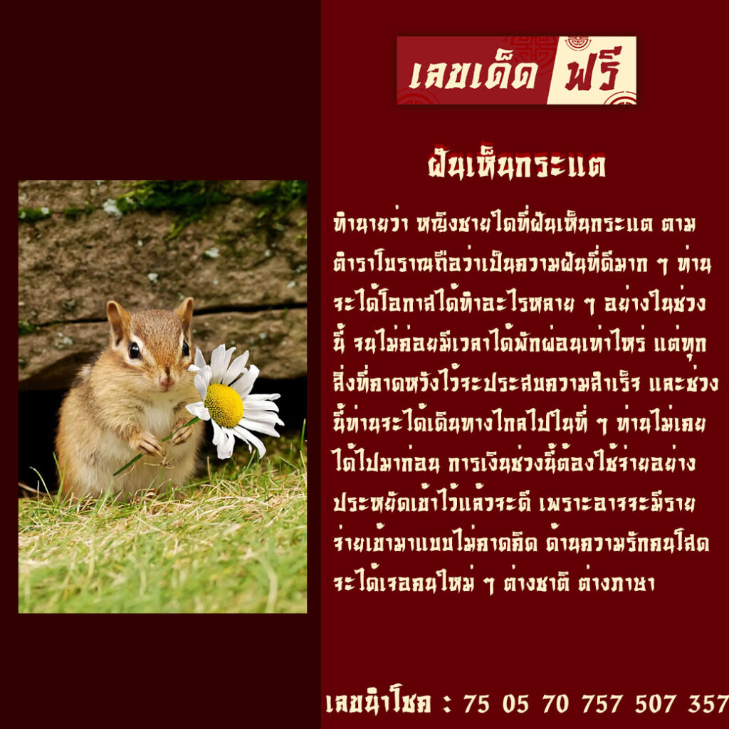 ฝันเห็นกระแต