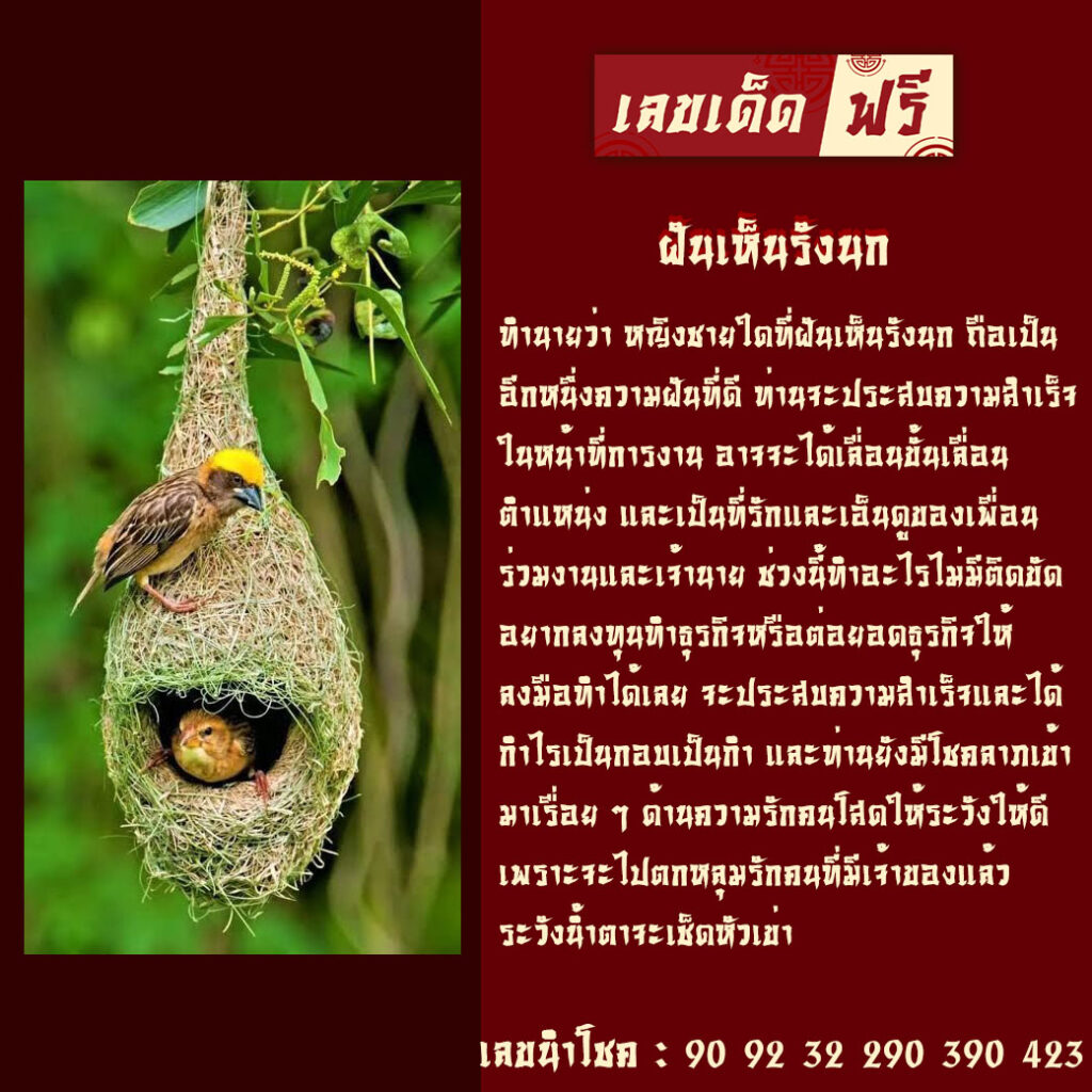 ฝันเห็นรังนก