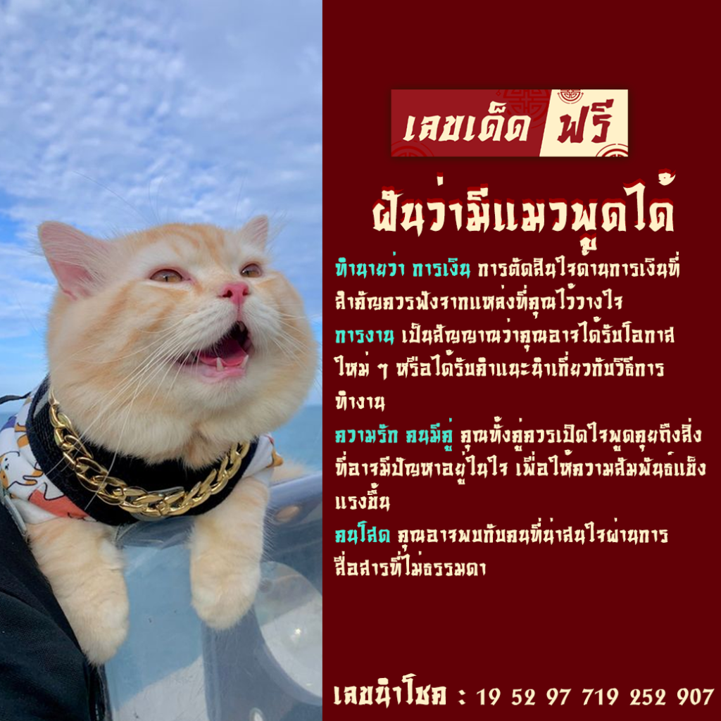 ฝันว่ามีแมวพูดได้