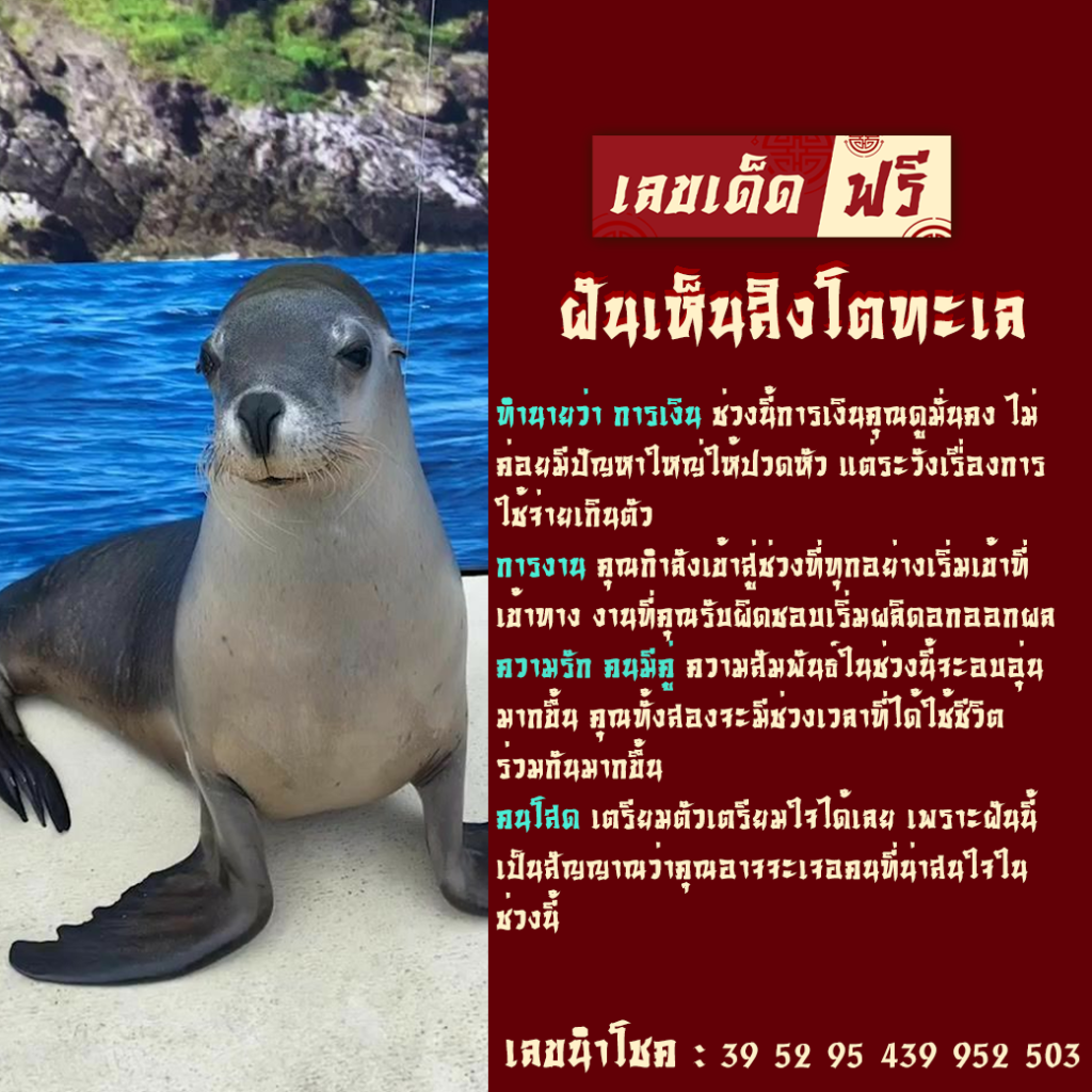 ฝันเห็นสิงโตทะเล