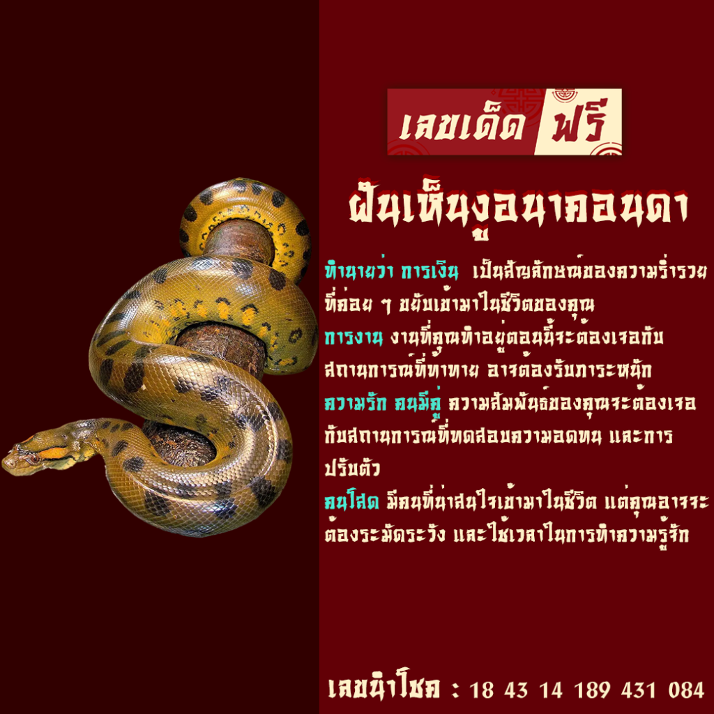 ฝันเห็นงูอนาคอนดา