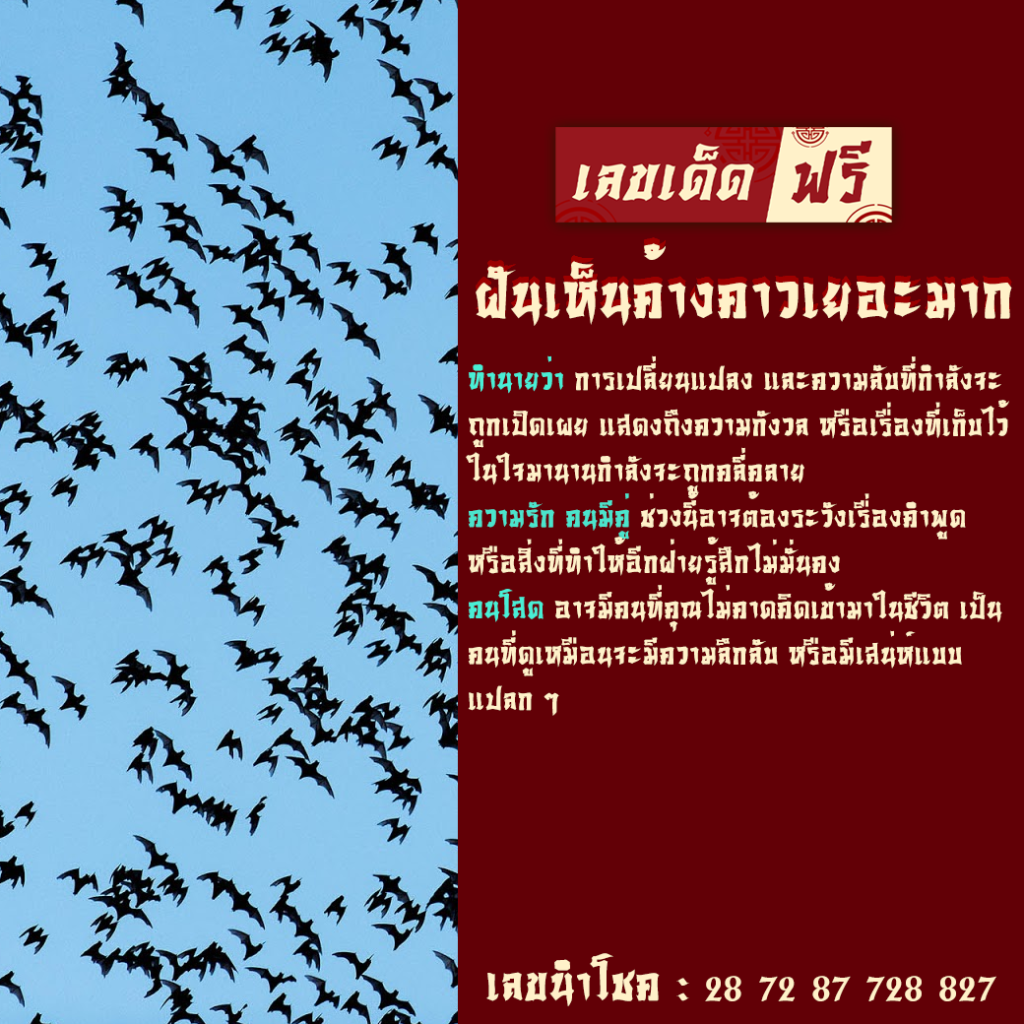 ฝันเห็นค้างคาวเยอะมาก