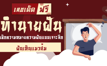 ฝันเห็นแมวส้ม